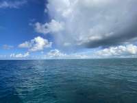 Great day of scuba diving in Key Largo with Rainbow Reef on french twist tropical legend 2022 08 23 r13074 2
