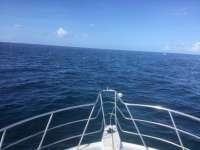 Great day of scuba diving in Key Largo with Rainbow Reef on hole in the wall tropical adventure 2022 08 27 r13092 1
