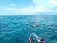 Great day of scuba diving in Key Largo with Rainbow Reef on north star tropical legend 2022 08 18 r13051 1