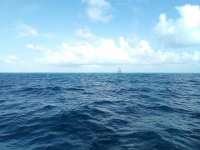 Great day of scuba diving in Key Largo with Rainbow Reef on north star tropical odyssey 2022 08 11 r13005 1