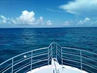 Great day of scuba diving in Key Largo with Rainbow Reef on snapper ledge tropical odyssey 2022 08 03 r12965 1