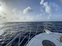 Great day of scuba diving in Key Largo with Rainbow Reef on spiegel grove tropical adventure 2022 08 10 r12997 1