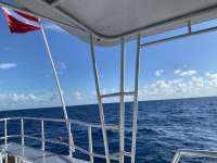 Great day of scuba diving in Key Largo with Rainbow Reef on spiegel grove tropical destiny 2022 08 03 r12960 1