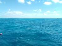 Great day of scuba diving in Key Largo with Rainbow Reef on spiegel grove tropical odyssey 2022 08 07 r12980 1
