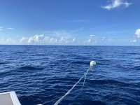 Great day of scuba diving in Key Largo with Rainbow Reef on spiegel grove tropical odyssey 2022 08 27 r13090 1