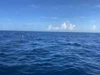 Great day of scuba diving in Key Largo with Rainbow Reef on spiegel grove tropical odyssey 2022 08 30 r13104 1