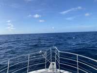 Great day of scuba diving in Key Largo with Rainbow Reef on spiegel grove tropical odyssey 2022 08 30 r13104 2