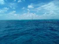 Great day of scuba diving in Key Largo with Rainbow Reef on student classes trip tropical odyssey 2022 08 07 r12982 1