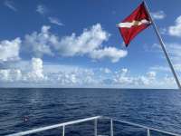 Great day of scuba diving in Key Largo with Rainbow Reef on uscgc duane tropical destiny 2022 08 13 r13019 1