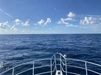 Great day of scuba diving in Key Largo with Rainbow Reef on uscgc duane tropical destiny 2022 08 13 r13019 2