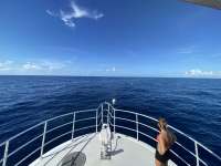 Great day of scuba diving in Key Largo with Rainbow Reef on uscgc duane tropical destiny 2022 08 27 r13091 1