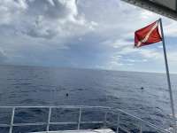 Great day of scuba diving in Key Largo with Rainbow Reef on uscgc duane tropical destiny 2022 08 27 r13091 2