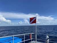 Great day of scuba diving in Key Largo with Rainbow Reef on uscgc duane tropical odyssey 2022 08 22 r13071 1