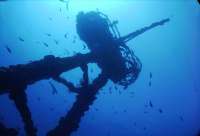 Great day of scuba diving in Key Largo with Rainbow Reef on uscgc duane tropical odyssey 2022 08 26 r13086 3