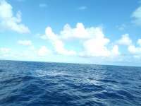 Great day of scuba diving in Key Largo with Rainbow Reef on woodys tropical explorer 2022 08 21 r13064 1