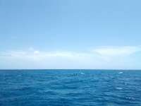 Great day of scuba diving in Key Largo with Rainbow Reef on woodys tropical odyssey 2022 08 05 r12976 1