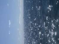 Great day of scuba diving in Key Largo with Rainbow Reef on city of washington tropical odyssey 2022 02 07 r12097 1