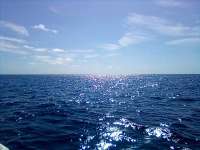 Great day of scuba diving in Key Largo with Rainbow Reef on hole in the wall tropical odyssey 2022 02 05 r12093 1