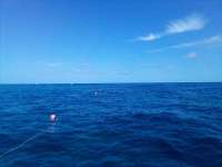 Great day of scuba diving in Key Largo with Rainbow Reef on hole in the wall tropical odyssey 2022 02 05 r12093 2