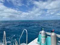 Great day of scuba diving in Key Largo with Rainbow Reef on molasses reef tropical destiny 2022 02 25 r12133 1