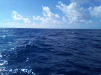 Great day of scuba diving in Key Largo with Rainbow Reef on spiegel grove tropical adventure 2022 02 27 r12151 1