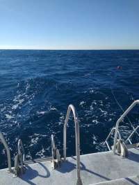 Great day of scuba diving in Key Largo with Rainbow Reef on benwood wreck tropical destiny 2022 01 30 r12086 1
