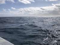 Great day of scuba diving in Key Largo with Rainbow Reef on benwood wreck tropical odyssey 2022 01 04 r12017 1