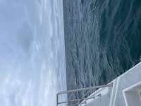 Great day of scuba diving in Key Largo with Rainbow Reef on christ statue tropical adventure 2022 01 23 r12072 1