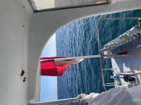 Great day of scuba diving in Key Largo with Rainbow Reef on crf nursery tropical voyager 2022 01 14 r12048 1