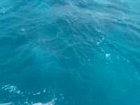 Great day of scuba diving in Key Largo with Rainbow Reef on snapper ledge tropical destiny 2022 01 23 r12073 1
