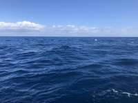Great day of scuba diving in Key Largo with Rainbow Reef on spiegel grove tropical odyssey 2022 01 02 r12012 1