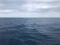 Great day of scuba diving in Key Largo with Rainbow Reef on spiegel grove tropical odyssey 2022 01 04 r12016 1