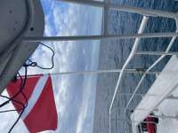 Great day of scuba diving in Key Largo with Rainbow Reef on uscgc duane tropical destiny 2022 01 13 r12040 1