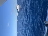Great day of scuba diving in Key Largo with Rainbow Reef on uscgc duane tropical explorer 2022 01 15 r12052 1