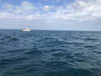 Great day of scuba diving in Key Largo with Rainbow Reef on winch hole tropical odyssey 2022 01 04 r12018 1