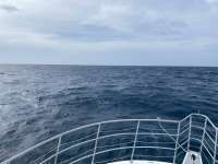 Great day of scuba diving in Key Largo with Rainbow Reef on benwood wreck tropical odyssey 2022 07 17 r12884 1