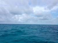 Great day of scuba diving in Key Largo with Rainbow Reef on captains choice tropical adventure 2022 07 17 r12880 1