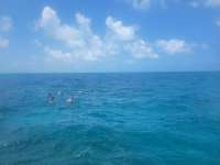 Great day of scuba diving in Key Largo with Rainbow Reef on christ statue tropical adventure 2022 07 28 r12941 1