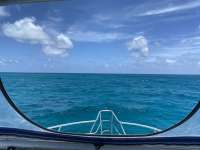 Great day of scuba diving in Key Largo with Rainbow Reef on crf nursery tropical adventure 2022 07 23 r12919 1