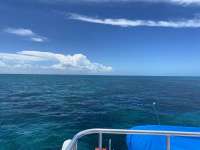 Great day of scuba diving in Key Largo with Rainbow Reef on double north tropical serenity 2022 07 10 r12858 1