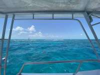 Great day of scuba diving in Key Largo with Rainbow Reef on eagle ray alley tropical odyssey 2022 07 28 r12940 1