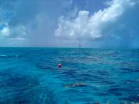 Great day of scuba diving in Key Largo with Rainbow Reef on fire coral cave tropical adventure 2022 07 08 r12844 1
