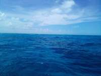 Great day of scuba diving in Key Largo with Rainbow Reef on french reef tropical odyssey 2022 07 23 r12921 1
