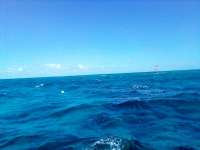 Great day of scuba diving in Key Largo with Rainbow Reef on hole in the wall tropical legend 2022 07 09 r12847 1