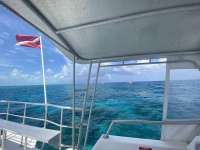 Great day of scuba diving in Key Largo with Rainbow Reef on molasses reef tropical destiny 2022 07 22 r12911 1