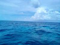 Great day of scuba diving in Key Largo with Rainbow Reef on north star tropical adventure 2022 07 16 r12879 1
