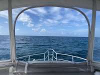Great day of scuba diving in Key Largo with Rainbow Reef on snapper ledge tropical serenity 2022 07 12 r12863 1