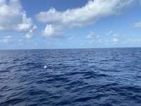 Great day of scuba diving in Key Largo with Rainbow Reef on spiegel grove tropical odyssey 2022 07 28 r12937 2