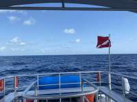 Great day of scuba diving in Key Largo with Rainbow Reef on spiegel grove tropical odyssey 2022 07 28 r12937 3