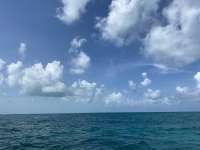 Great day of scuba diving in Key Largo with Rainbow Reef on banana patch tropical serenity 2022 06 15 r12681 2